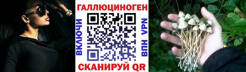 Галлюциногенные грибы Psilocybe MEGA tor Купино